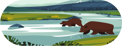 River and bear